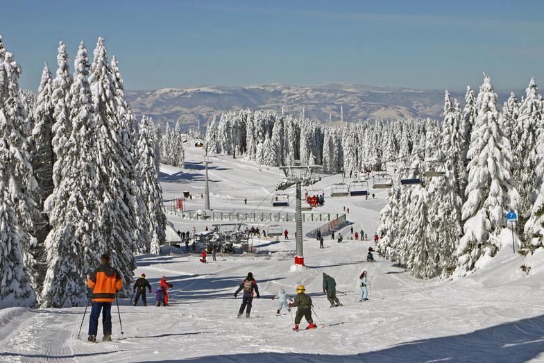 Apartment G6 Kopaonik Dış mekan fotoğraf