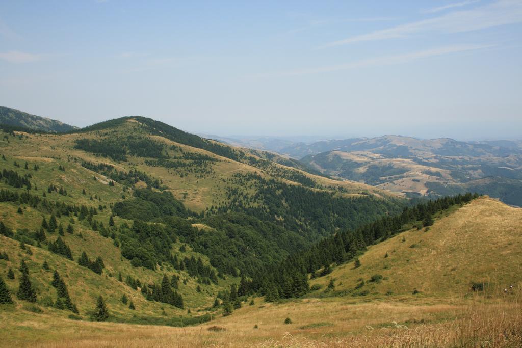 Apartment G6 Kopaonik Dış mekan fotoğraf