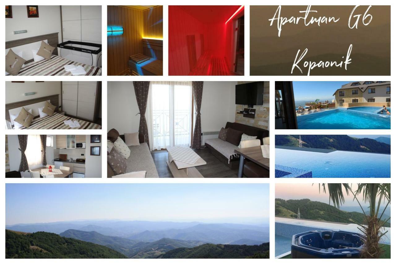 Apartment G6 Kopaonik Dış mekan fotoğraf